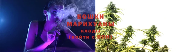 ГАЛЛЮЦИНОГЕННЫЕ ГРИБЫ Бронницы
